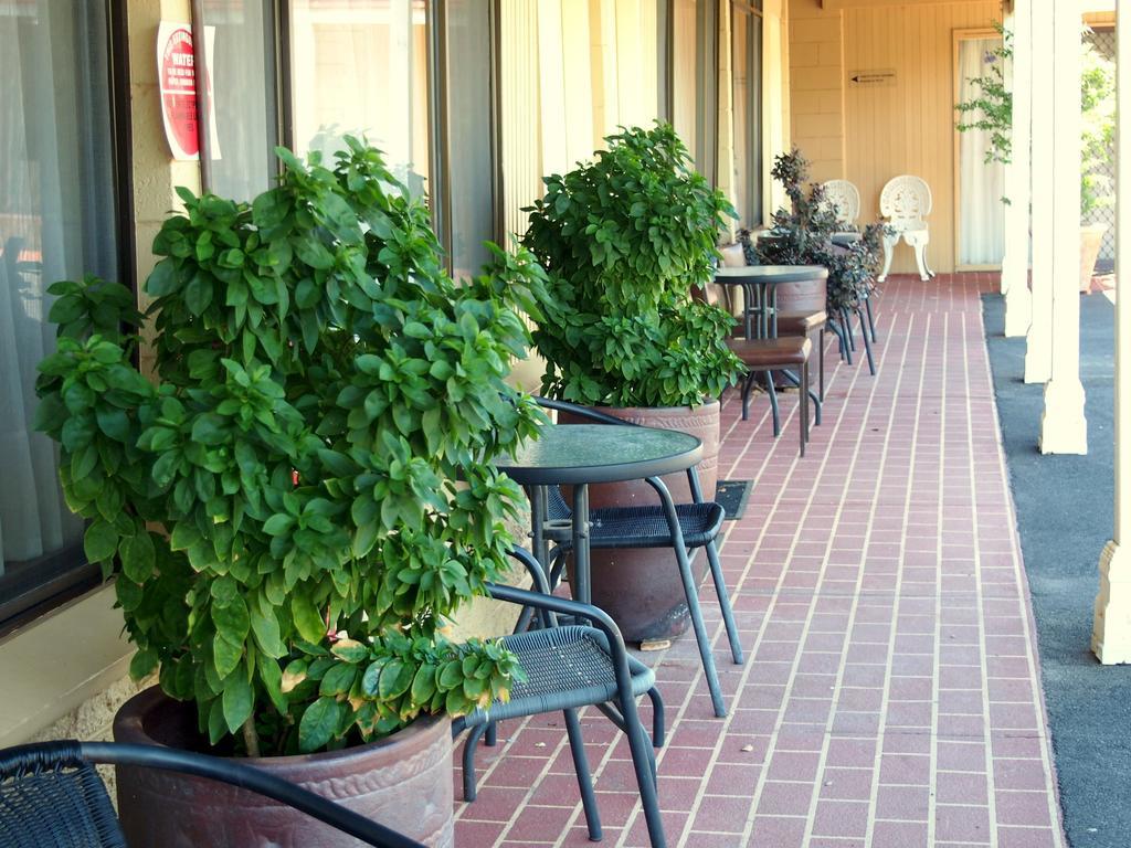 Murray River Motel Суон Хил Стая снимка